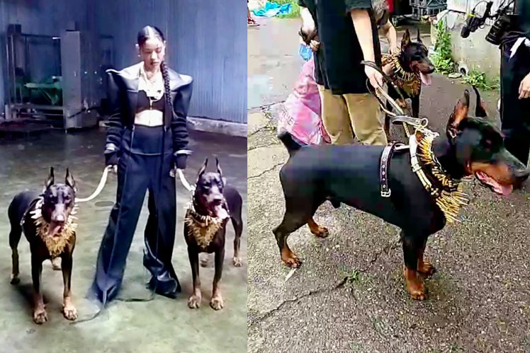 黄金の彼方 (Golden Horizon) 